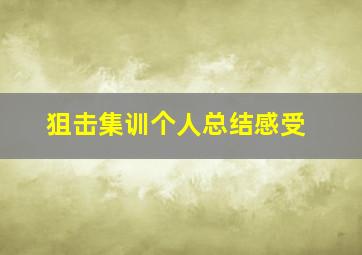 狙击集训个人总结感受