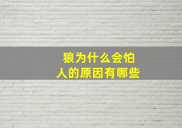 狼为什么会怕人的原因有哪些