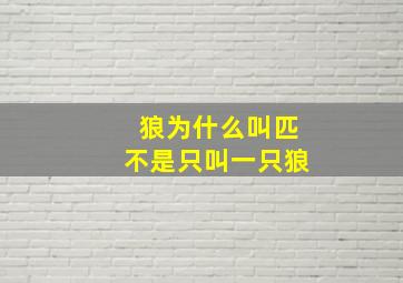 狼为什么叫匹不是只叫一只狼