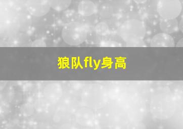 狼队fly身高