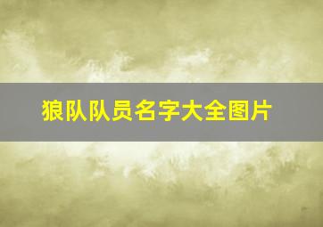 狼队队员名字大全图片