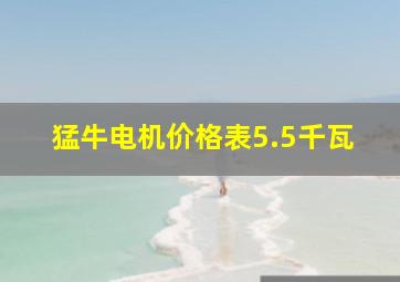 猛牛电机价格表5.5千瓦