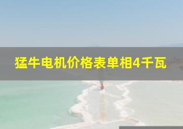 猛牛电机价格表单相4千瓦