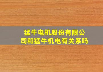 猛牛电机股份有限公司和猛牛机电有关系吗