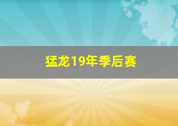 猛龙19年季后赛