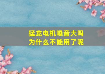 猛龙电机噪音大吗为什么不能用了呢