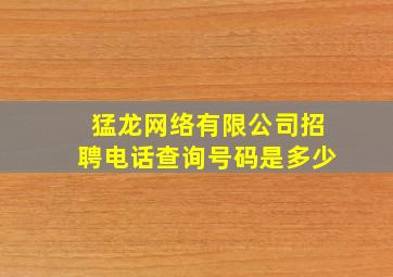 猛龙网络有限公司招聘电话查询号码是多少