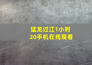 猛龙过江1小时20手机在线观看