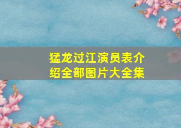 猛龙过江演员表介绍全部图片大全集