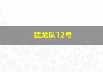 猛龙队12号