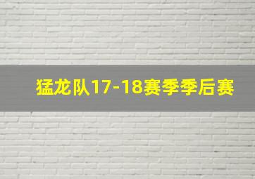 猛龙队17-18赛季季后赛