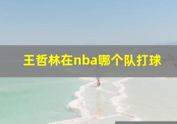 王哲林在nba哪个队打球