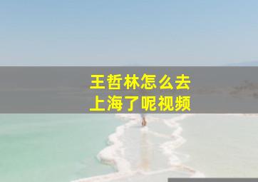 王哲林怎么去上海了呢视频