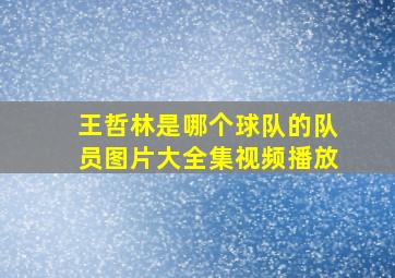 王哲林是哪个球队的队员图片大全集视频播放