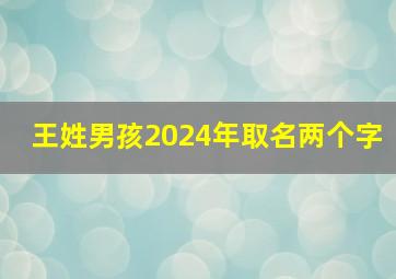 王姓男孩2024年取名两个字