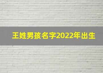 王姓男孩名字2022年出生