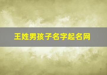 王姓男孩子名字起名网