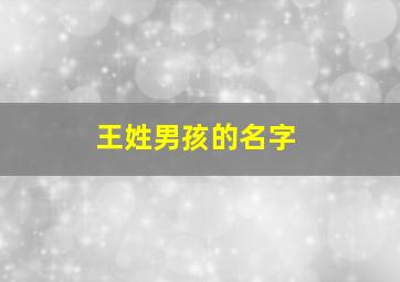 王姓男孩的名字