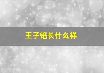 王子铭长什么样