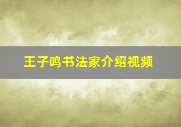 王子鸣书法家介绍视频