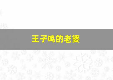 王子鸣的老婆