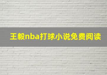 王毅nba打球小说免费阅读