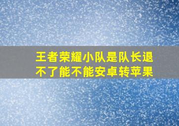 王者荣耀小队是队长退不了能不能安卓转苹果