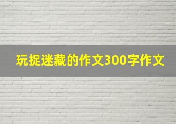 玩捉迷藏的作文300字作文