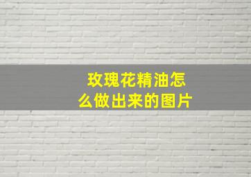 玫瑰花精油怎么做出来的图片