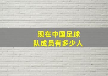 现在中国足球队成员有多少人