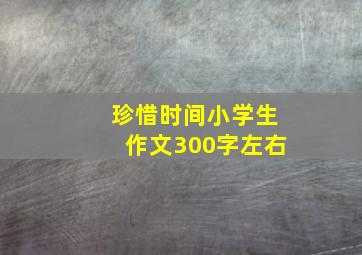 珍惜时间小学生作文300字左右