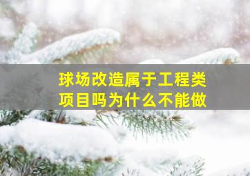 球场改造属于工程类项目吗为什么不能做