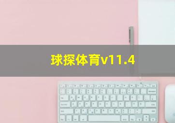 球探体育v11.4