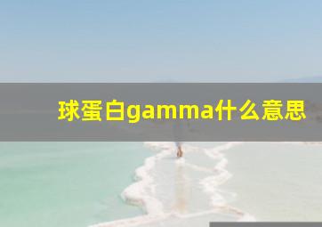 球蛋白gamma什么意思