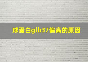 球蛋白glb37偏高的原因