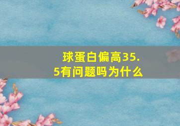 球蛋白偏高35.5有问题吗为什么