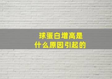 球蛋白增高是什么原因引起的