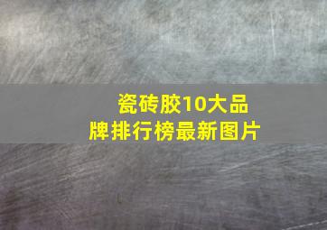 瓷砖胶10大品牌排行榜最新图片