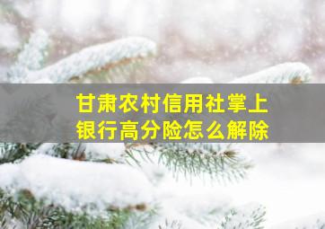 甘肃农村信用社掌上银行高分险怎么解除