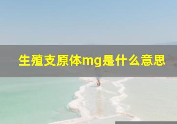 生殖支原体mg是什么意思