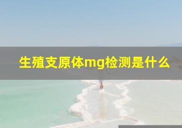 生殖支原体mg检测是什么