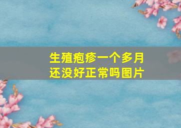 生殖疱疹一个多月还没好正常吗图片