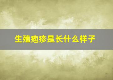 生殖疱疹是长什么样子