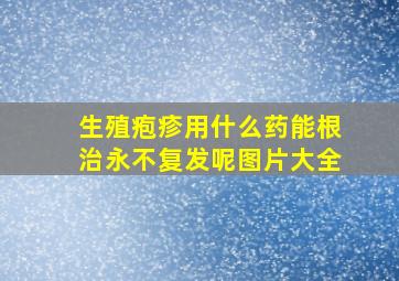 生殖疱疹用什么药能根治永不复发呢图片大全