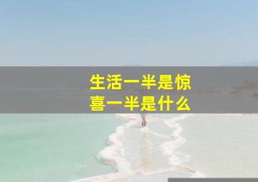 生活一半是惊喜一半是什么