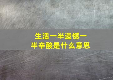 生活一半遗憾一半辛酸是什么意思