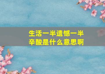 生活一半遗憾一半辛酸是什么意思啊