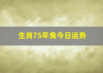 生肖75年兔今日运势