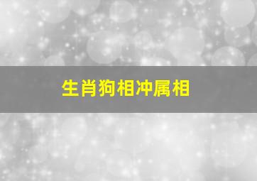 生肖狗相冲属相