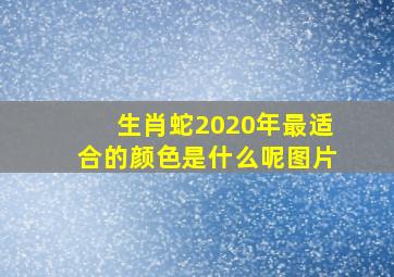 生肖蛇2020年最适合的颜色是什么呢图片